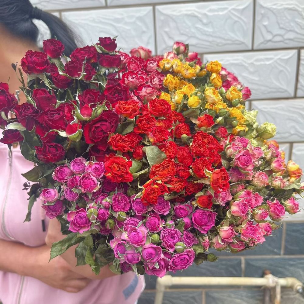 Natural Dried Bubble Rose Flow - Resin Art Rose ulasan dan harga